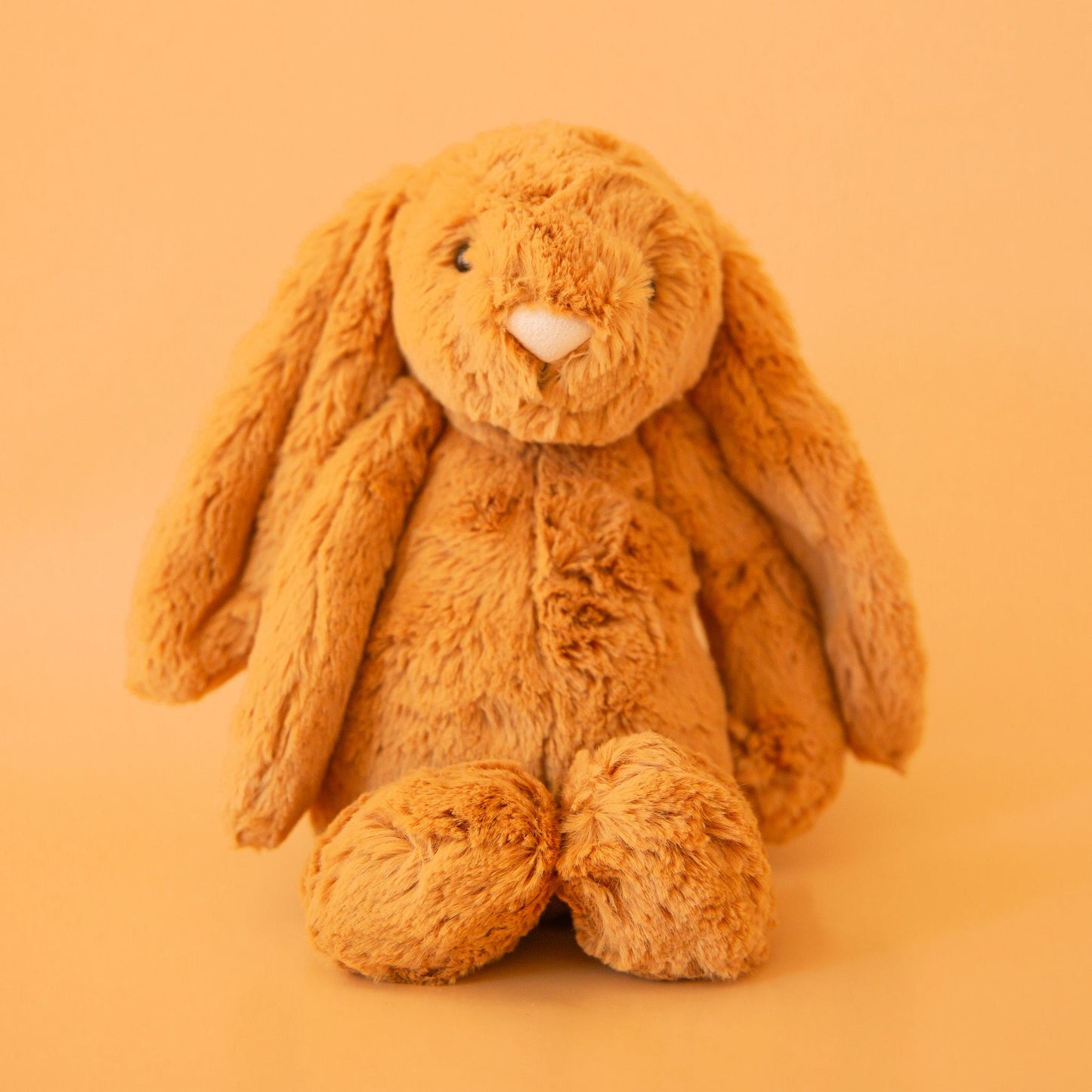 Bashful Bunny | Golden